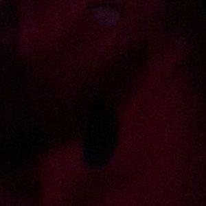 Meet your Posher, Darlene